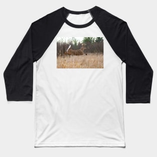 Taking Flight - White-tailed Buck Baseball T-Shirt